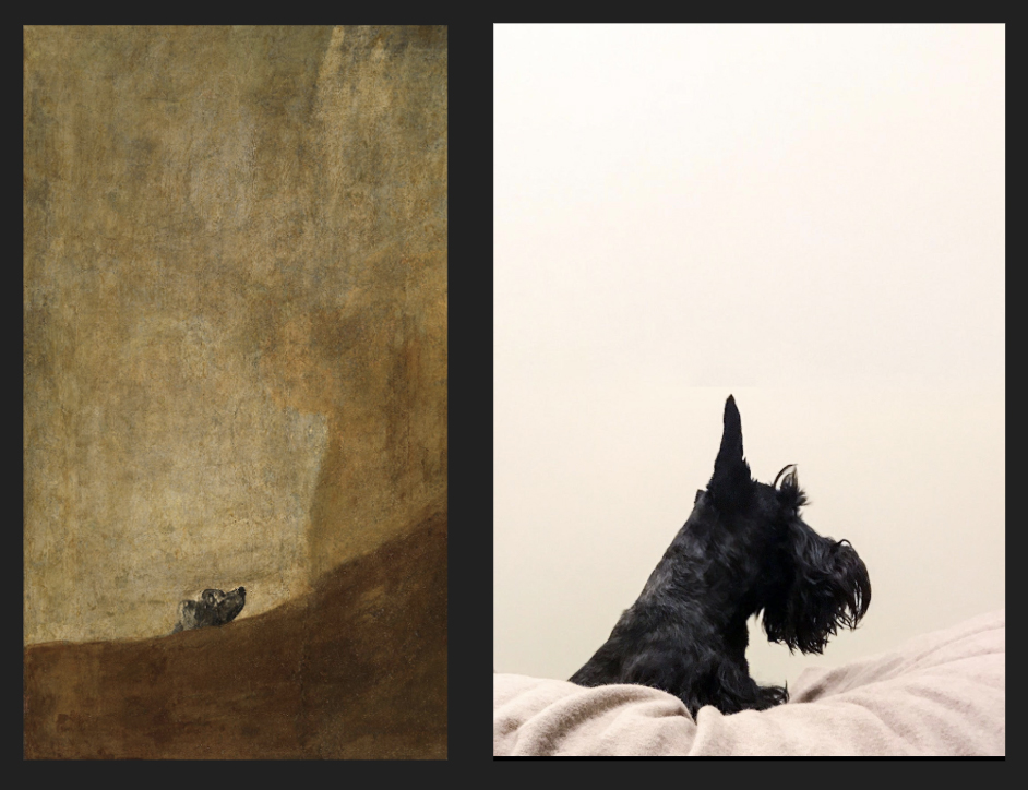 Goya, The Dog (c. 1820)