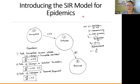 Using Mathematics to Understand Epidemics