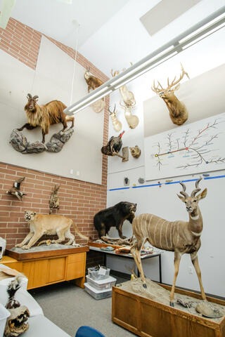 nature lab